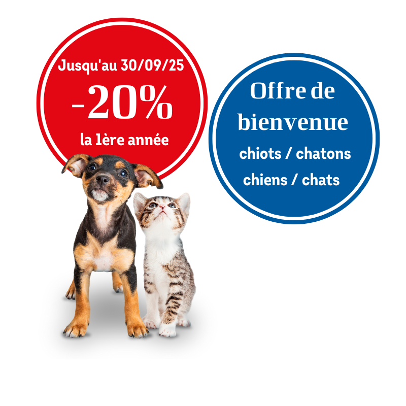 Promo de bienvenue (2).png