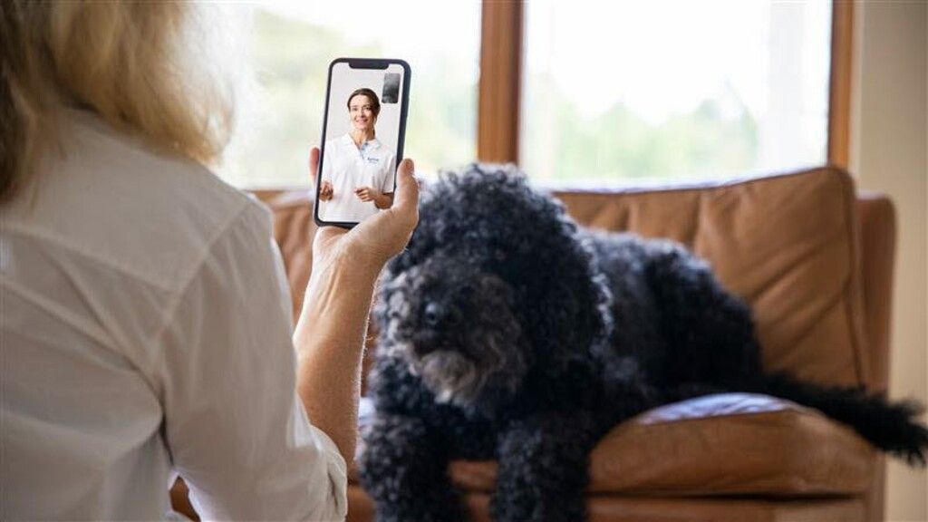 Femme qui appelle AVG pour son chien malade