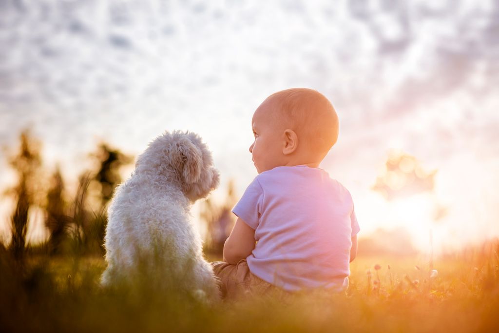 chiot qui est assit à côté d'un bébé