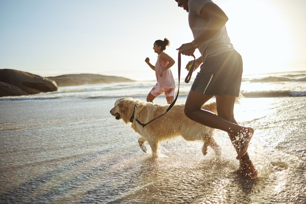 chien avec un homme et une femme qui courent dans l'eau