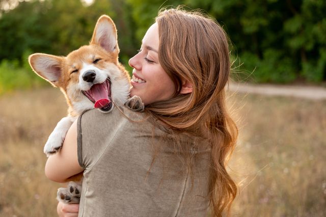 Femme qui tient un corgi qui sourit dans ses bas
