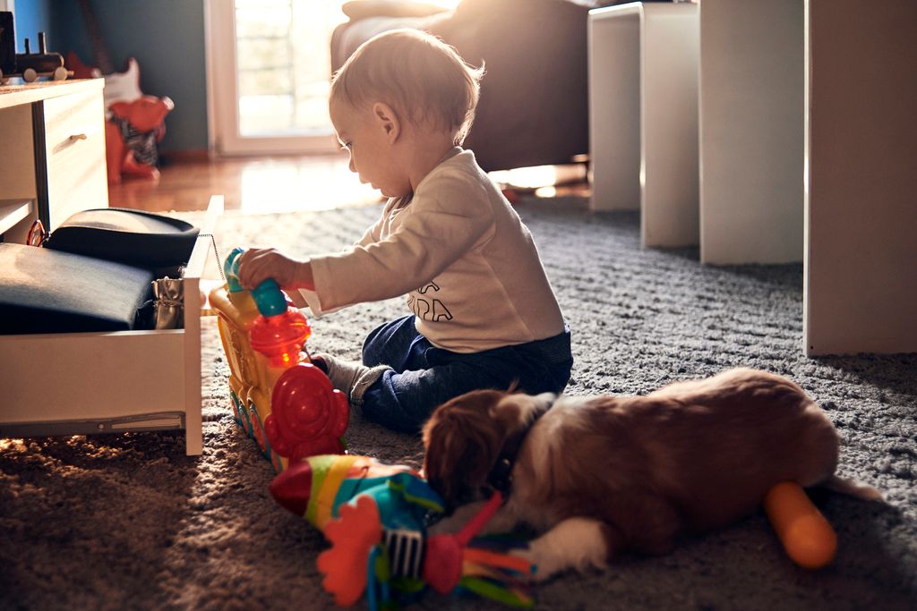 enfant qui joue avec un chien allongé à côté de lui
