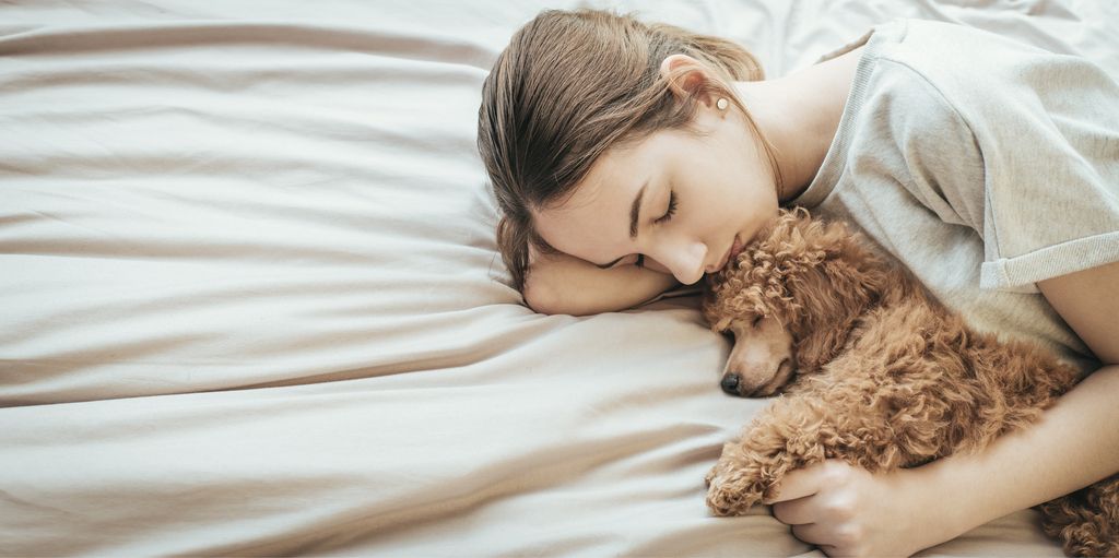 femme et son chien qui se font un câlin allongés sur le lit