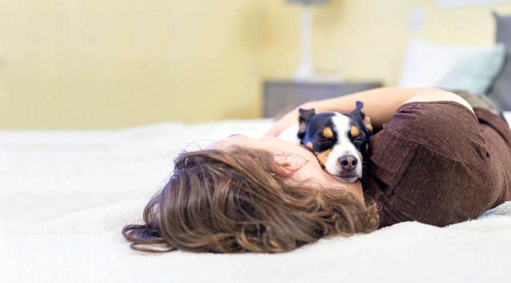 chien qui dort dans les bras de sa propriétaire
