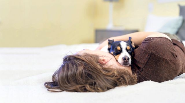 chien qui dort dans les bras de sa propriétaire