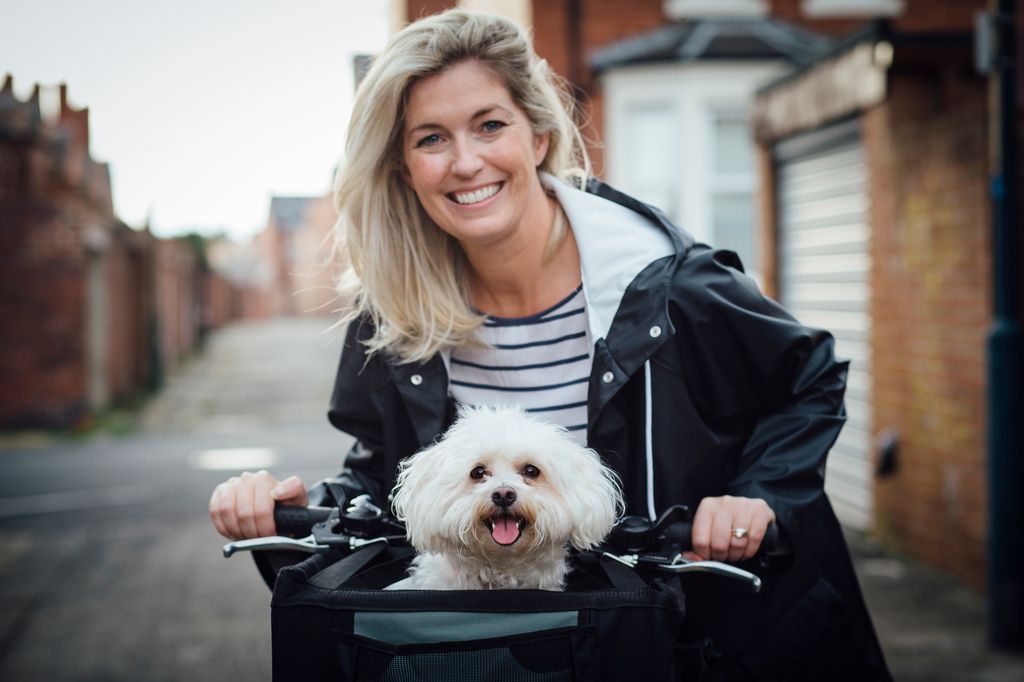 chien dans un panier à chien sur un vélo