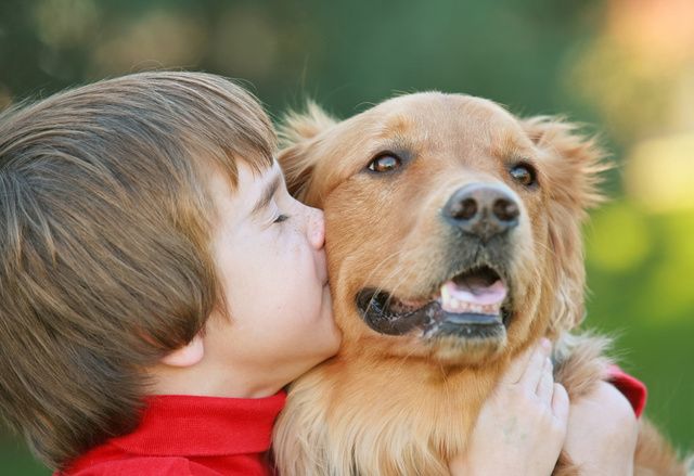 Petit garçon avec un chien