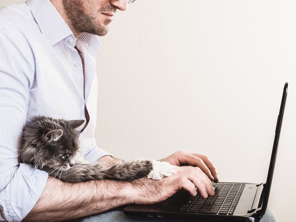 Man jobbar med katten vid datorn.