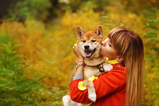 femme qui tient un Akita Inu dans les bras