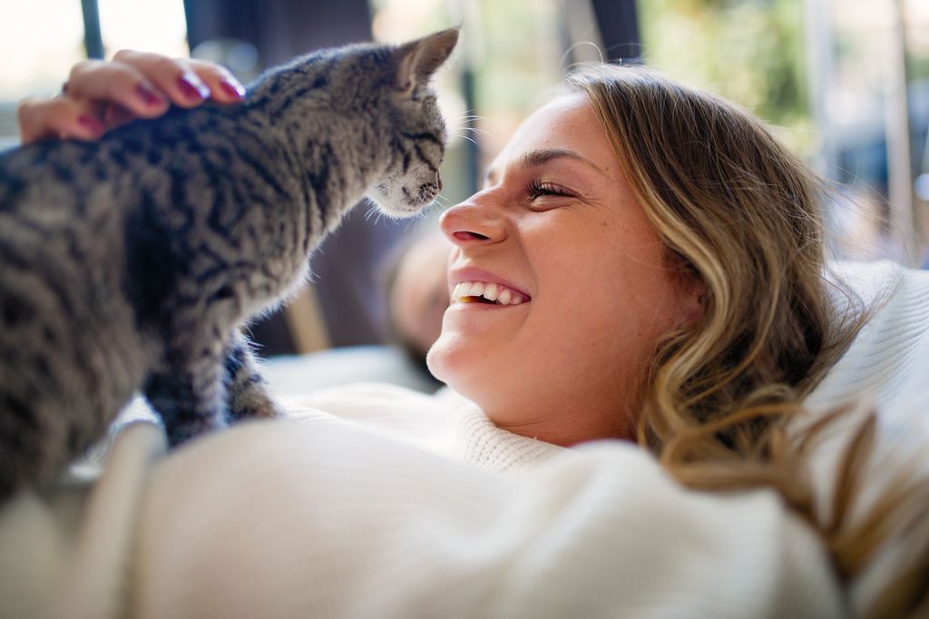 chat sur une femme museau contre nez