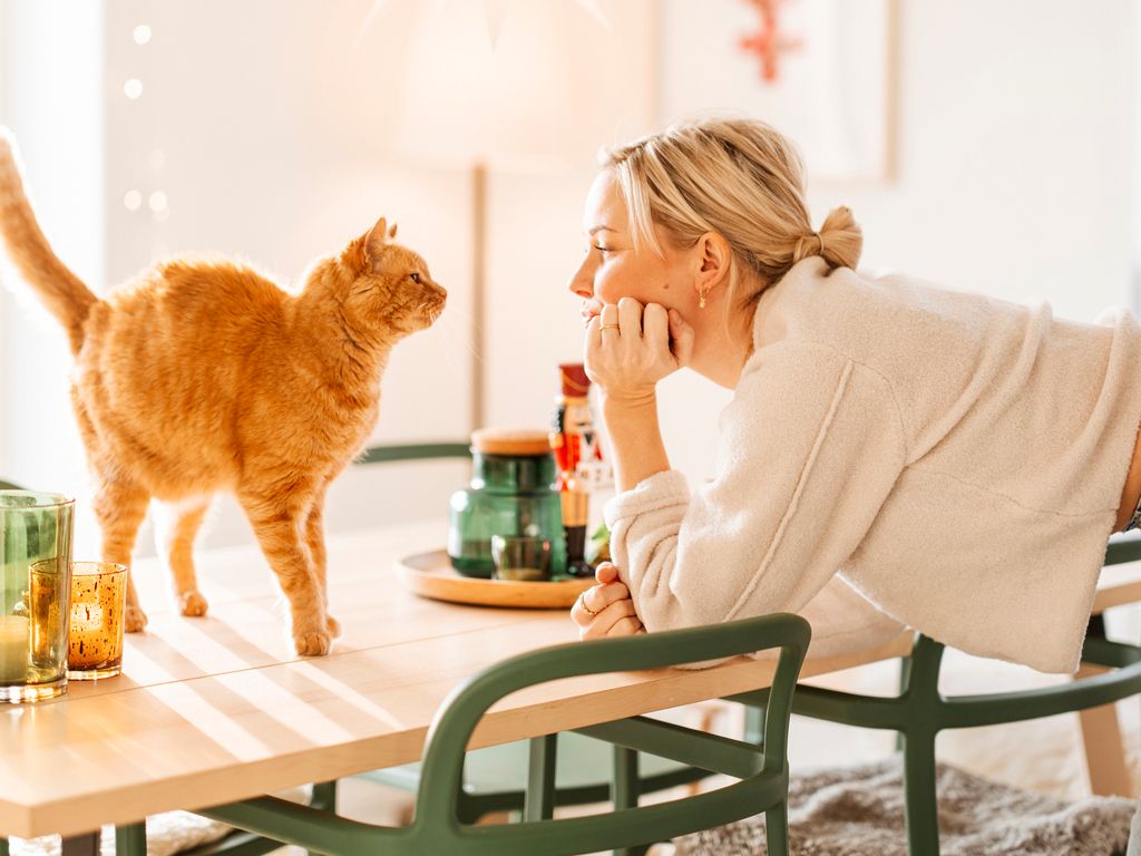chat sur une table avec une femme en face de lui