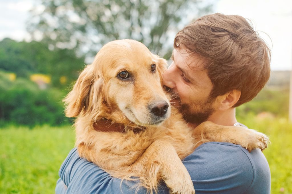 Chien dans les bras de son maître