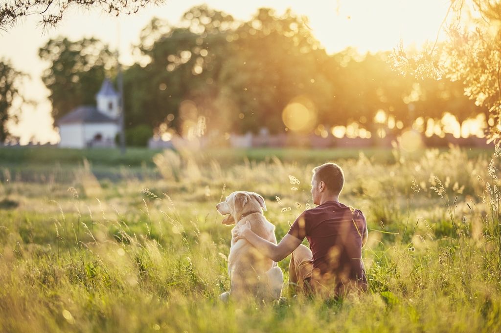homme assit de dos avec son chien dans l'herbe
