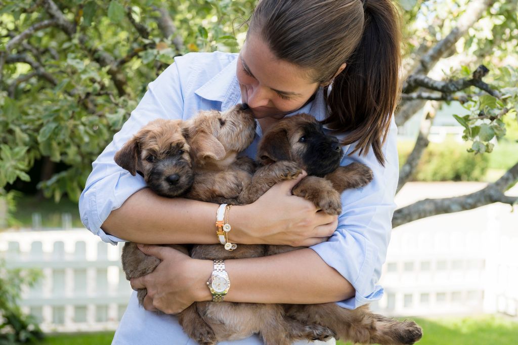 chiots dans les bras d'une femme