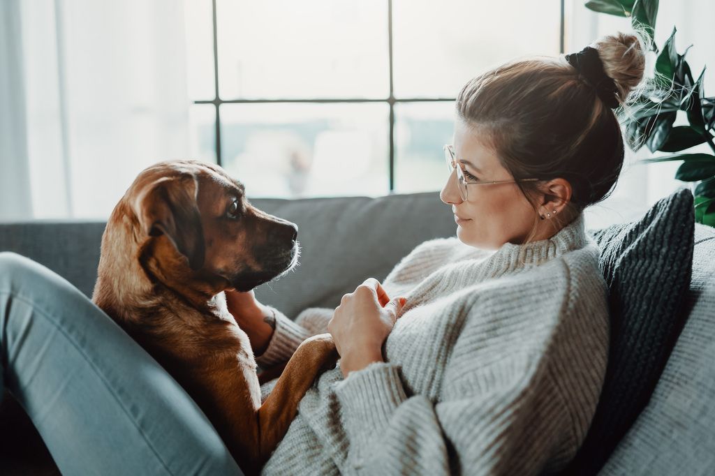 Chien et sa maîtresse allongés sur le canapé
