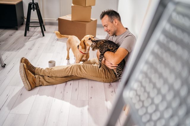 chat et chien avec un homme qui est assit par terre