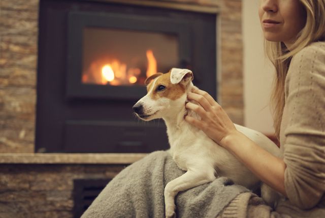chien assit sur le canapé qui se fait caresser