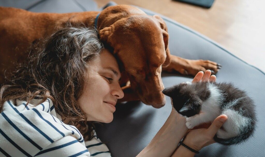 Femme qui caresse  un chaton dans ses mains avec un chien à côté d'elle
