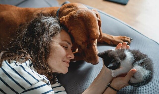 Femme qui caresse  un chaton dans ses mains avec un chien à côté d'elle