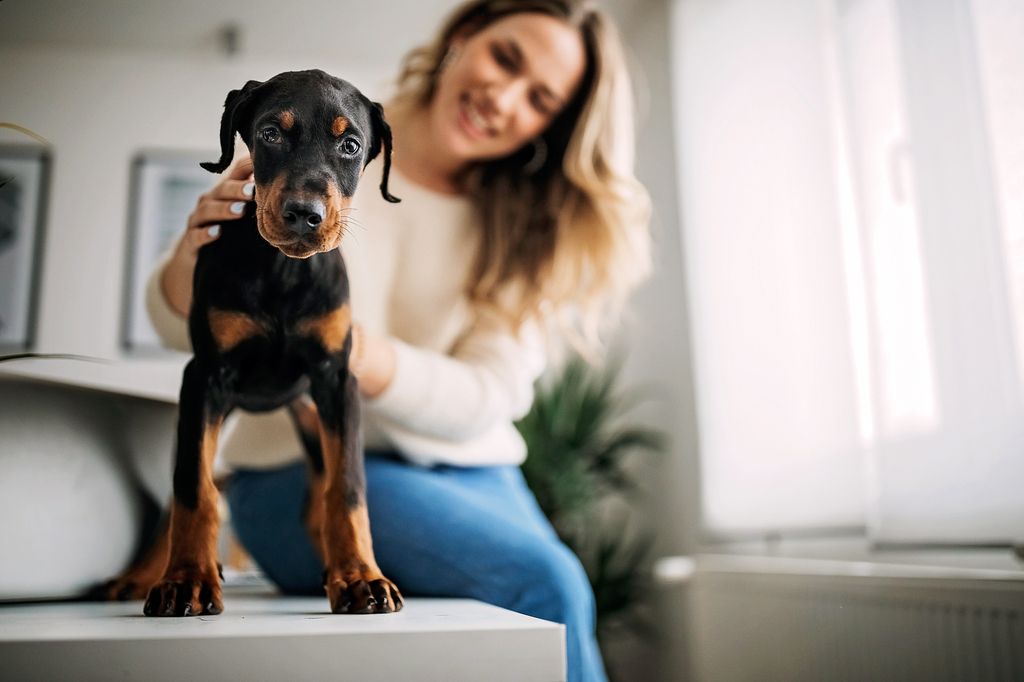 chien qui se fait caresser le pelage par une femme
