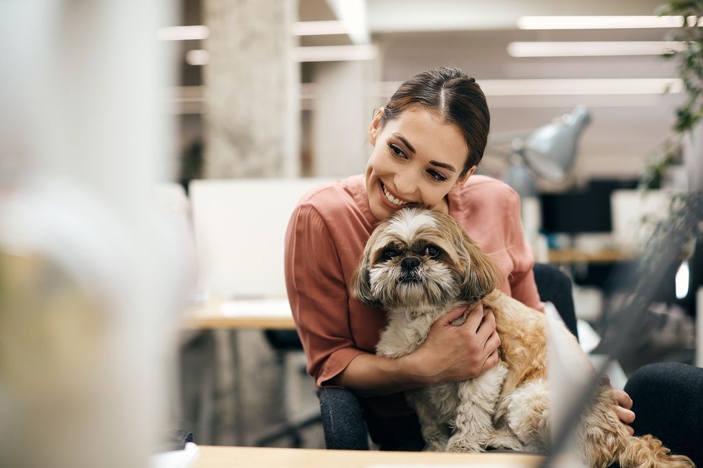 chien sur les genoux de sa propriétaire