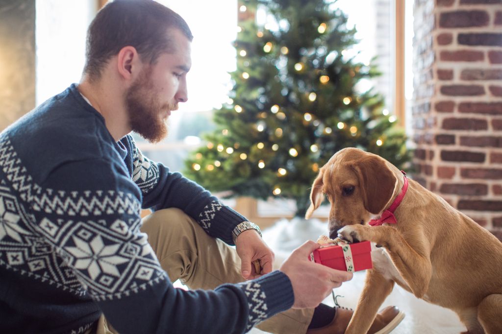 homme qui donne des cadeaux à son chien