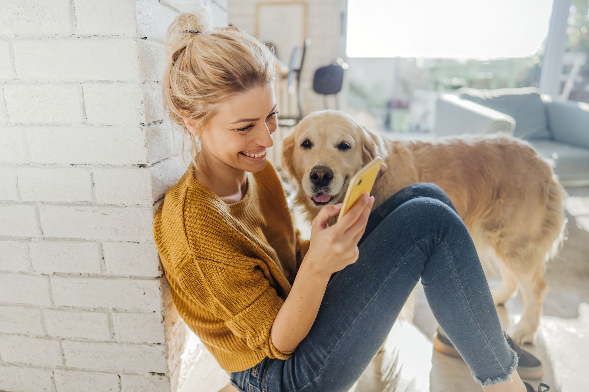 femme écrit sur son portable avec un chien à côté