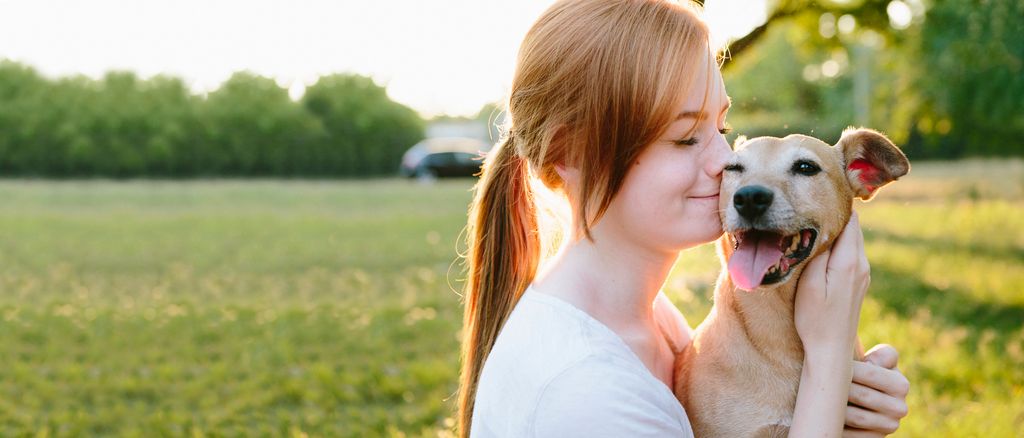chien qui lèche son maître
