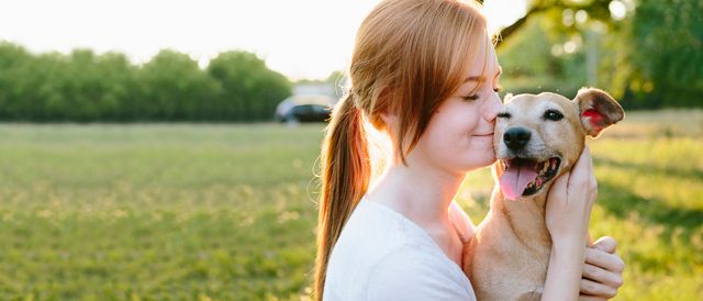 chien qui lèche son maître