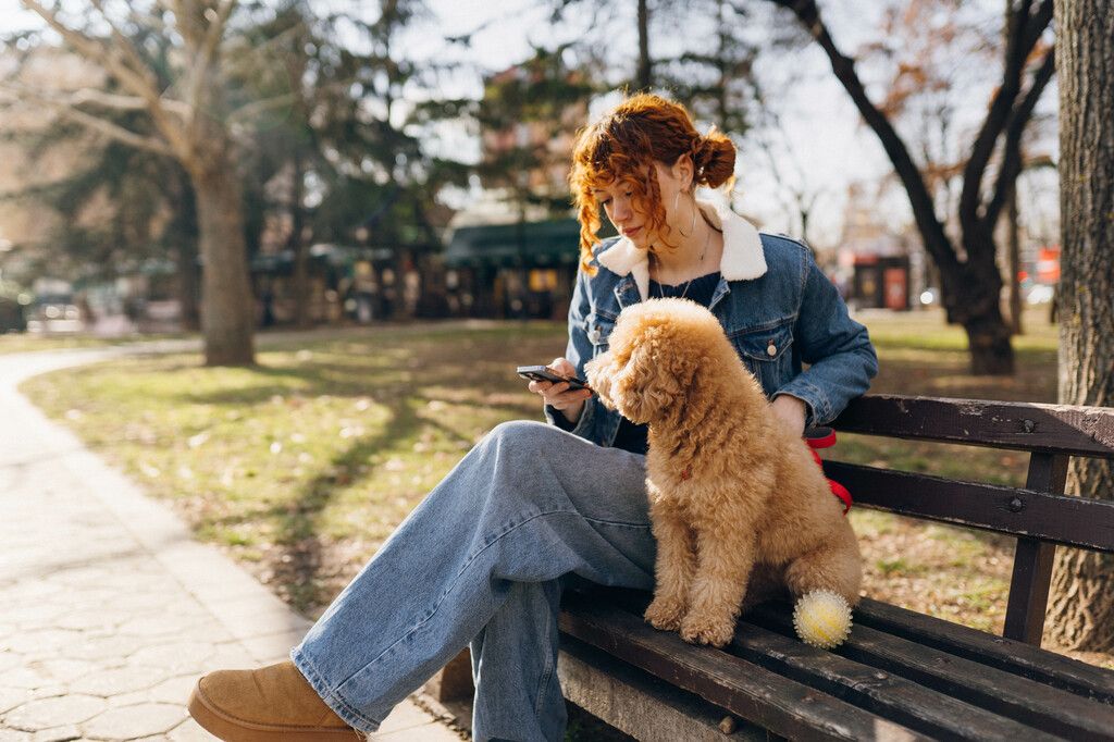 chien sur un banc à côté d'une femme