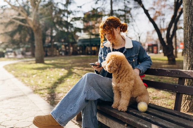 chien sur un banc à côté d'une femme