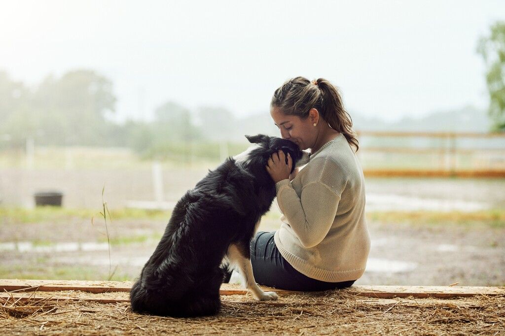 Femme assise avec un Border Collie qu'elle embrasse sur la tête
