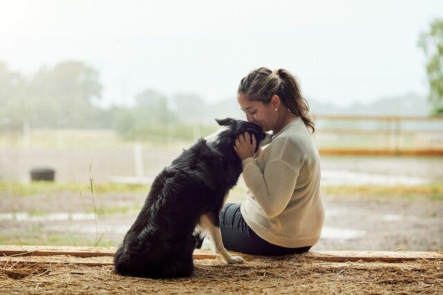 Femme assise avec un Border Collie qu'elle embrasse sur la tête
