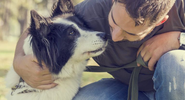 chien et homme qui se frotte le nez