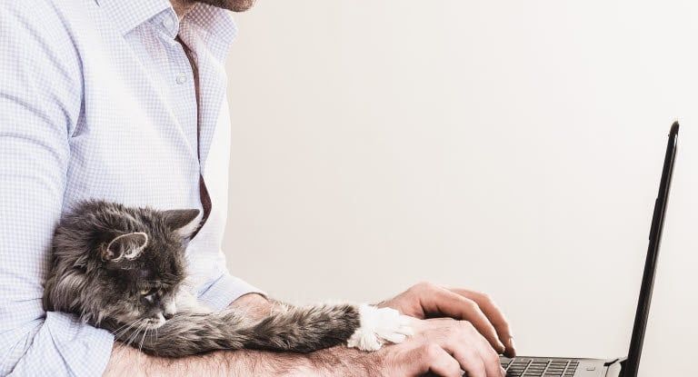homme qui travaille sur son ordinateur avec son chat dans les bras