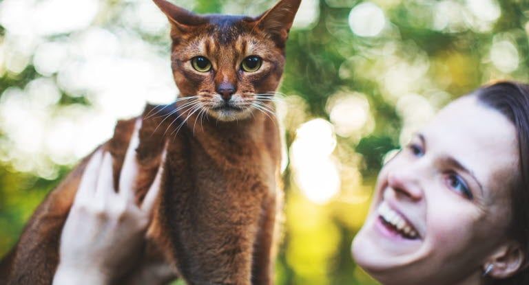 chat qui se fait porter par une femme qui sourit