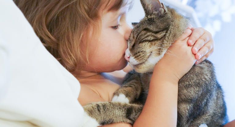 fillette qui fait un bisou à un chat