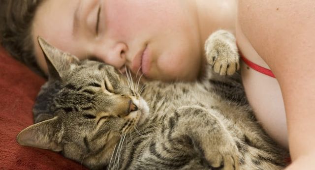 chat qui ronronne et dort à côté d'une femme