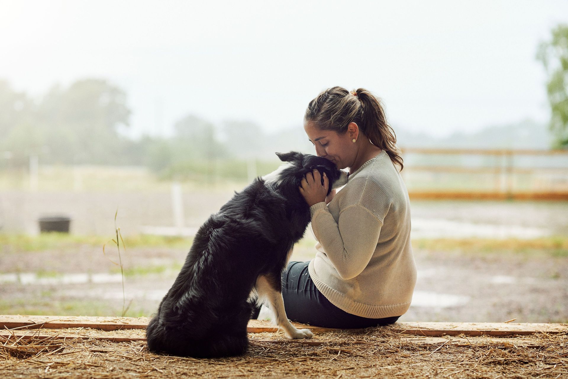 Chien qui se fait caresser la tête