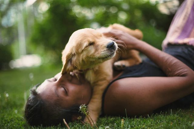 Une personne embrasse un chiot.