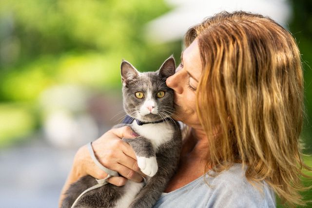 Un chat se fait caresser et câliner par sa maîtresse.