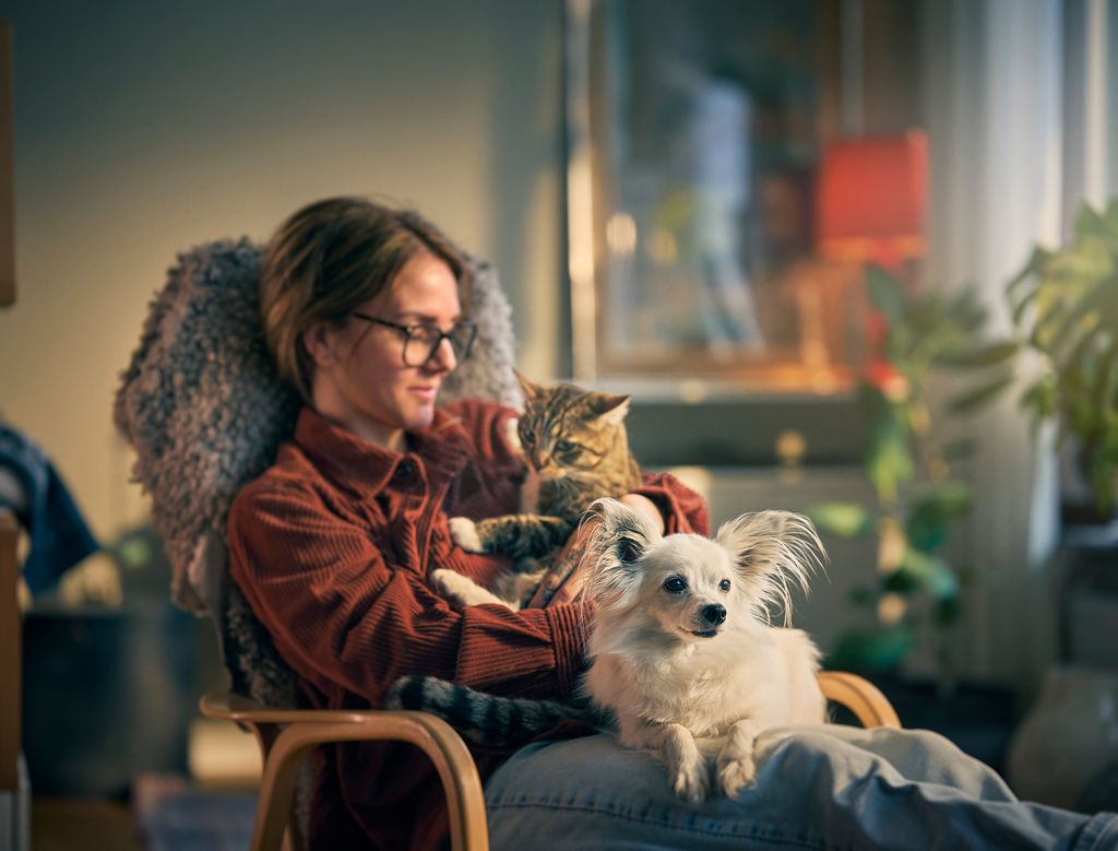 chat et chien sur une femme sur un fauteuil
