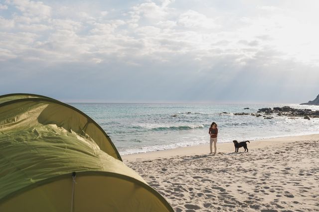 Si vous prévoyez de voyager dans un pays où les phlébotomes sont présents, il est important de protéger votre chien, car ces insectes peuvent transmettre la leishmaniose.
