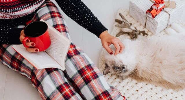 femme en pyjama de noël qui caresse son chat