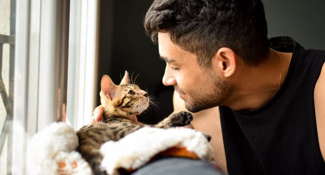chat et son propiétaire qui intéragissent