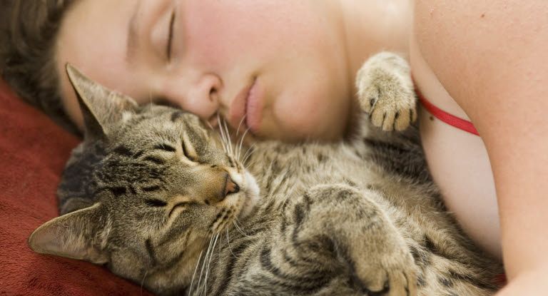 chat qui ronronne et dort à côté d'une femme