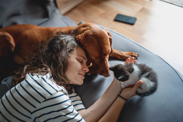 Femme qui caresse chaton et chien