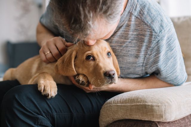 Homme qui fait un bisous sur la tête d'un chien