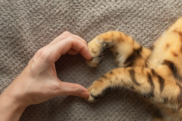 coeur avec des pattes et une main