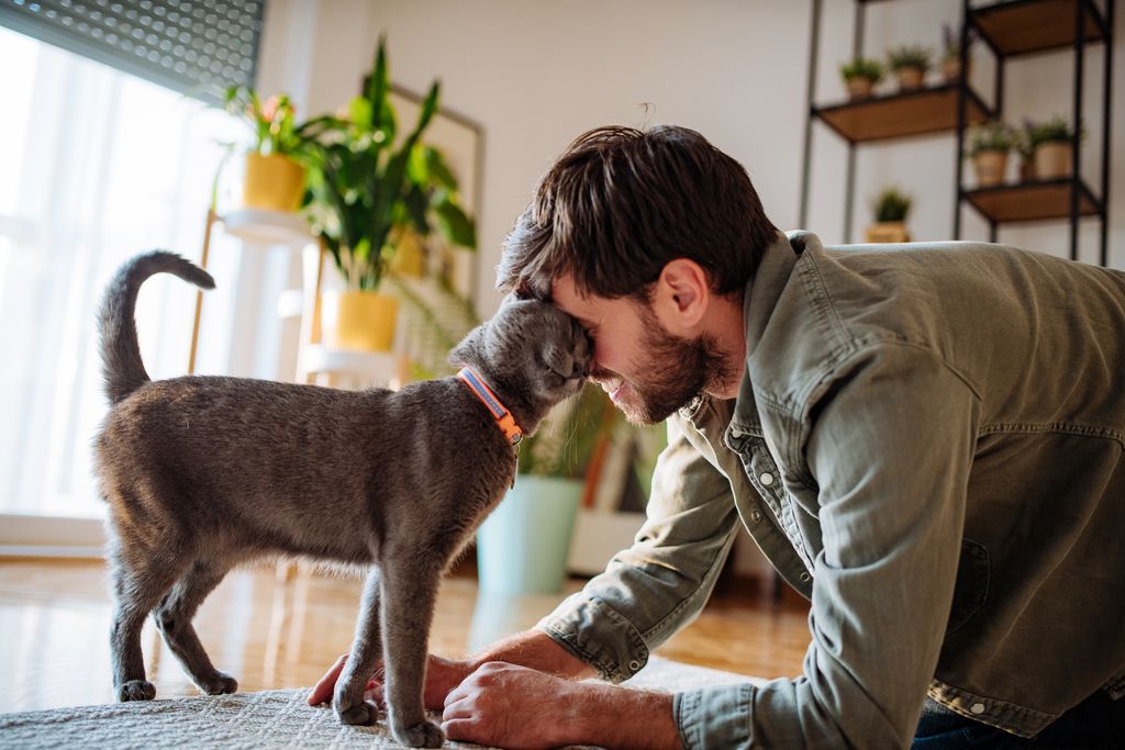 homme qui fait nez museau avec un chat